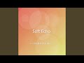 Soft Echo