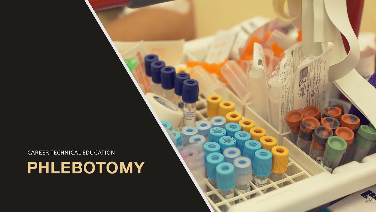 Phlebotomy Program - YouTube