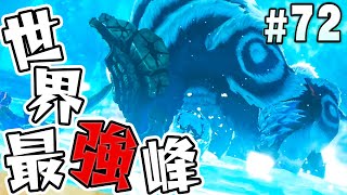 【モンハンストーリーズ2】銀嶺ガムートの恐ろしい全体攻撃！『モンスターハンターストーリーズ2 破滅の翼』を実況プレイpart72【MHS2】