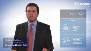 Schroders: Investment Weather Forecast - Emerging Market Debt