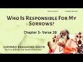 Bhagavad Geeta  - Who Is Responsible For My Sorrows? (Chapter 3 Verse 28) | #GeetaCapsules