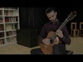 sarantis agianoglou plays julia florida by agustin barrios