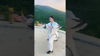 教你一套太极丝滑小连招 #taichi #taichiquan #kungfu #wushu #martialarts #taiji #taijiquan #太极 #太極拳 #功夫 #武術 #詠春 #