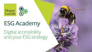 ESG Academy: Digital accessibility and your ESG strategy