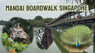 FULL VIDEO MANDAI BOARDWALK SINGAPORE |JALAN JALAN SANTAI