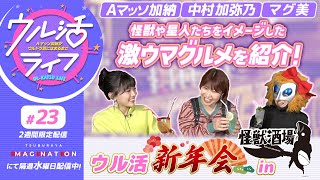 『ウル活ライフ Aマッソ加納がウルトラ沼にはまるまで』怪獣酒場で激ウマグルメを大紹介！！#23