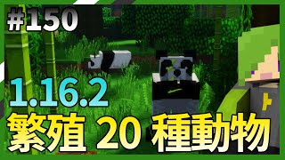 Minecraft 原始生存 Ep 150 1 16 2 繁殖種動物成雙成對 Minecraft 原始生存 Ep 150 1 16 2 繁殖種動物成雙成對