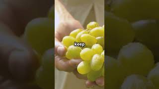 Grapes benefits                      #grape #wine #fruit#food #health #healthy