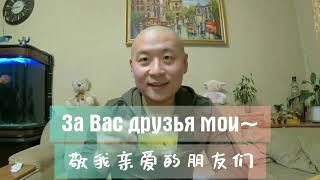 【乌克兰S.G】走地鸡炖牛肝菌|Курица с белыми грибами|小鸡炖蘑菇|Курка з грибами|柴鸡野山菌|Chicken stewed with mushrooms