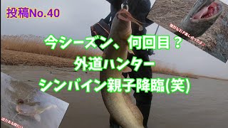 親子で怪魚ハンター！？八郎潟はモンスターだらけ！投稿No.40