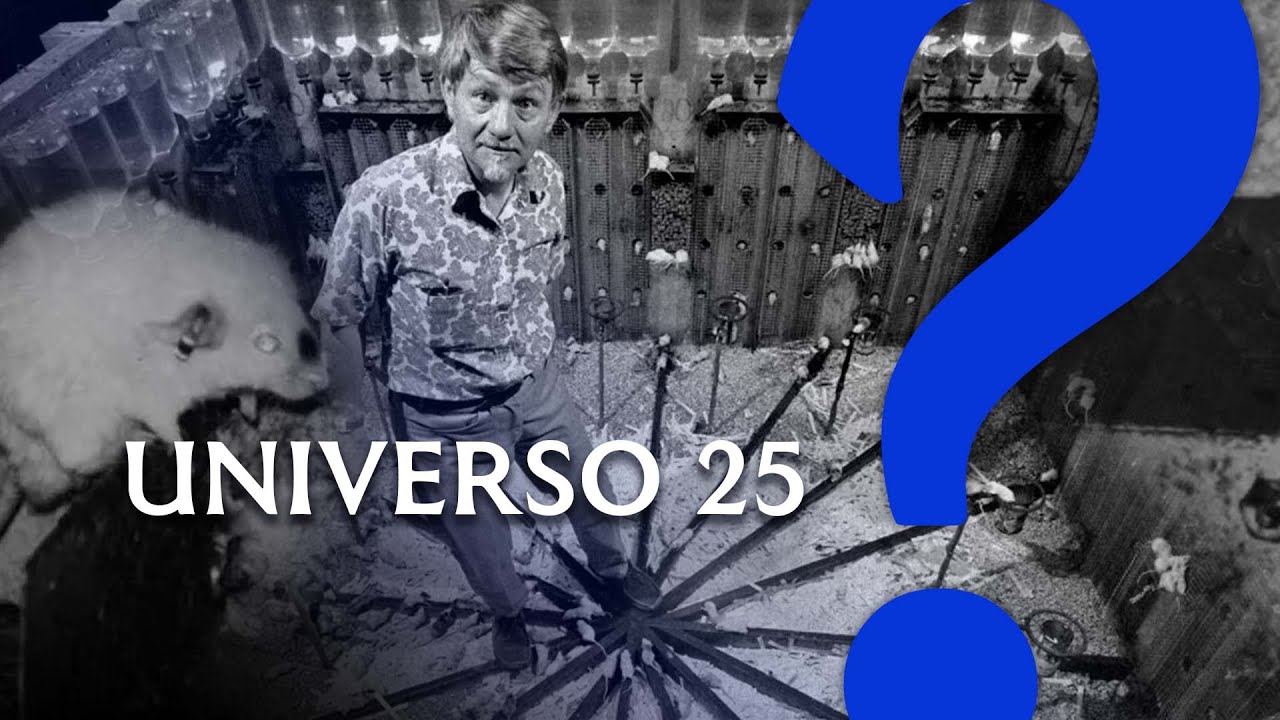 Universo 25 • El Experimento Del Dr. John B. Calhoun - YouTube