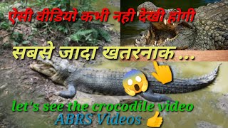 Jungle Safari आओ घूमे जंगल में मस्ती full injoy   ABRS Videos