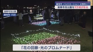 「花の回廊、光のプロムナード」蓮華寺池公園イルミネーション点灯式　静岡・藤枝市