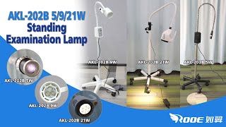 5W/9W/21W Medical Examination Light Series #Examinationlight