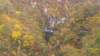 1051022日本東北賞楓行-鳴子峽-大深澤橋