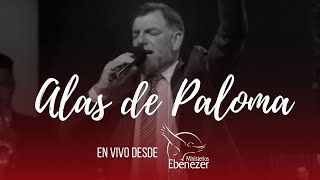 Billy Bunster en Ministerios Ebenezer Guatemala // Sobre Alas de Paloma