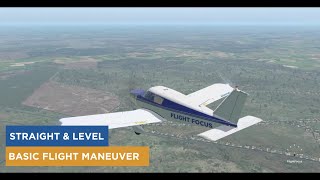 Straight & Level | Basic Flight Maneuvers