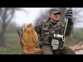 Wooden OWL in 1 HOUR, chainsaw wood carving