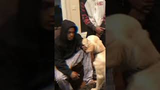 (XXXTENTACION)_Best Moments Before His Death -- Best Of Memorable With Her Best Freind 🐕#shorts