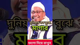 দুনিয়ার সব বুঝে মাগার,,, আনিসুর রহমান আশরাফী anisur Rahman Ashrafy#a