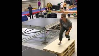 Parkour in California #shorts #trending #fyp (5)