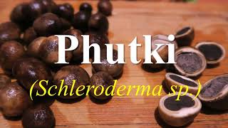 Wild Mushroom | Phutki | Wild Button Mushroom |