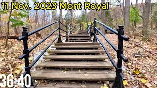 Montreal hiking: Mont Royal, 40 Minutes Workout on 11 Nov. 2023 (Treadmill Virtual Scenery)