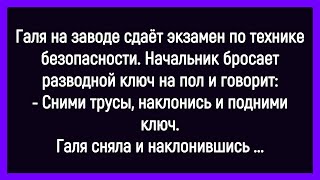 💁‍♂️Как Галя Сдавала Экзамен По Технике Безопасности! Сборник Смешных Новых Анекдотов! Юмор!Позитив!