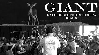 Giant - Kaleidoscope Orchestra Remix [Calvin Harris, Rag 'n' Bone Man]