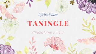 || TANINGLE (Lyrics Video) - Umanda ft. Pushparani ||  Manipuri Music Video Official Lyrics