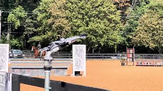 “Monaghan” + Heidi White- 3’6 junior hunter *catch ride*| August 31 2024. (2nd place)