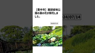 豊中市の方必見！【号外NET】詳しい記事はコメント欄より