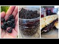 🫙Wild Blackberries | Blackberry Filling | Picking, Cooking, Jam, Tea