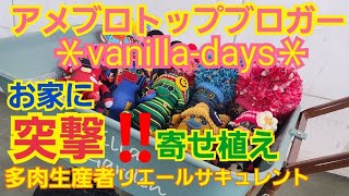 【多肉植物】【ガーデニング】アメブロトップブロガー‼️＊vanilla-days＊お家に突撃寄せ植え‼️2022年12月14日