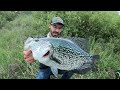 The BIGGEST CRAPPIE EVER CAUGHT on VIDEO!