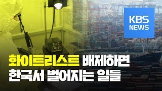 ‘화이트리스트 배제’ 의미는? / KBS뉴스(News)