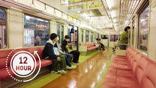 Riding Japanese train through 97 local stations, Osaka to Tokyo