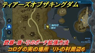 ティアキン　コログの実の場所　リトの村周辺６　武器・盾・弓のポーチ拡張方法　＃１０７７　【ゼルダの伝説ティアーズオブザキングダム】