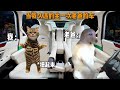 当我久违的坐一次老爸的车 猫meme 搞笑 真实还原