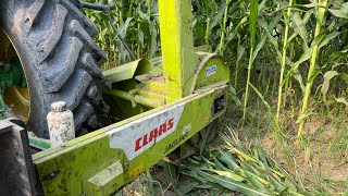 Claas Jaguar 25 maize cutter machine working video