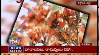 Moduga Flowers Special Story - TV5