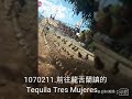 1070211.參觀tequilear tres mujeres 三姊妹龍舌蘭酒莊園