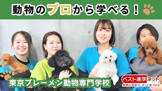 トリマー・動物看護師・ドッグトレーナー・飼育員・アニマルセラピスト、すべての資格が取得できる☆【東京ブレーメン動物専門学校】