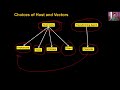 biology class 12 unit 11 chapter 06 biotechnology principles and processes lecture 5 5