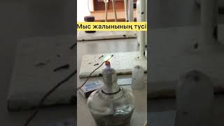 Мыстың жалын түсі🔥