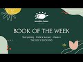 Book of the week_PreN & N_Week 4_The ugly duckling