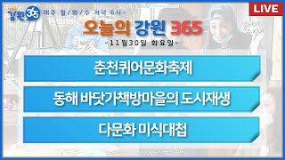 [강원365_11월30일(화)방송] 춘천퀴어문화축제/동해 바닷가책방마을의 도시재생/다문화 미식대첩