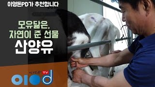 모유를 닮은 산양유 [이영돈PD가 추천합니다]