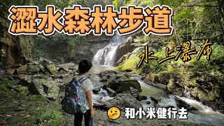 澀水森林步道 景觀豐富的步道及超美水上瀑布 | 大叔與小米的日常