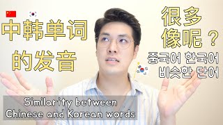 How Similar Chinese and Korean wordsㅣ比较中文单词和韩文单词的发音